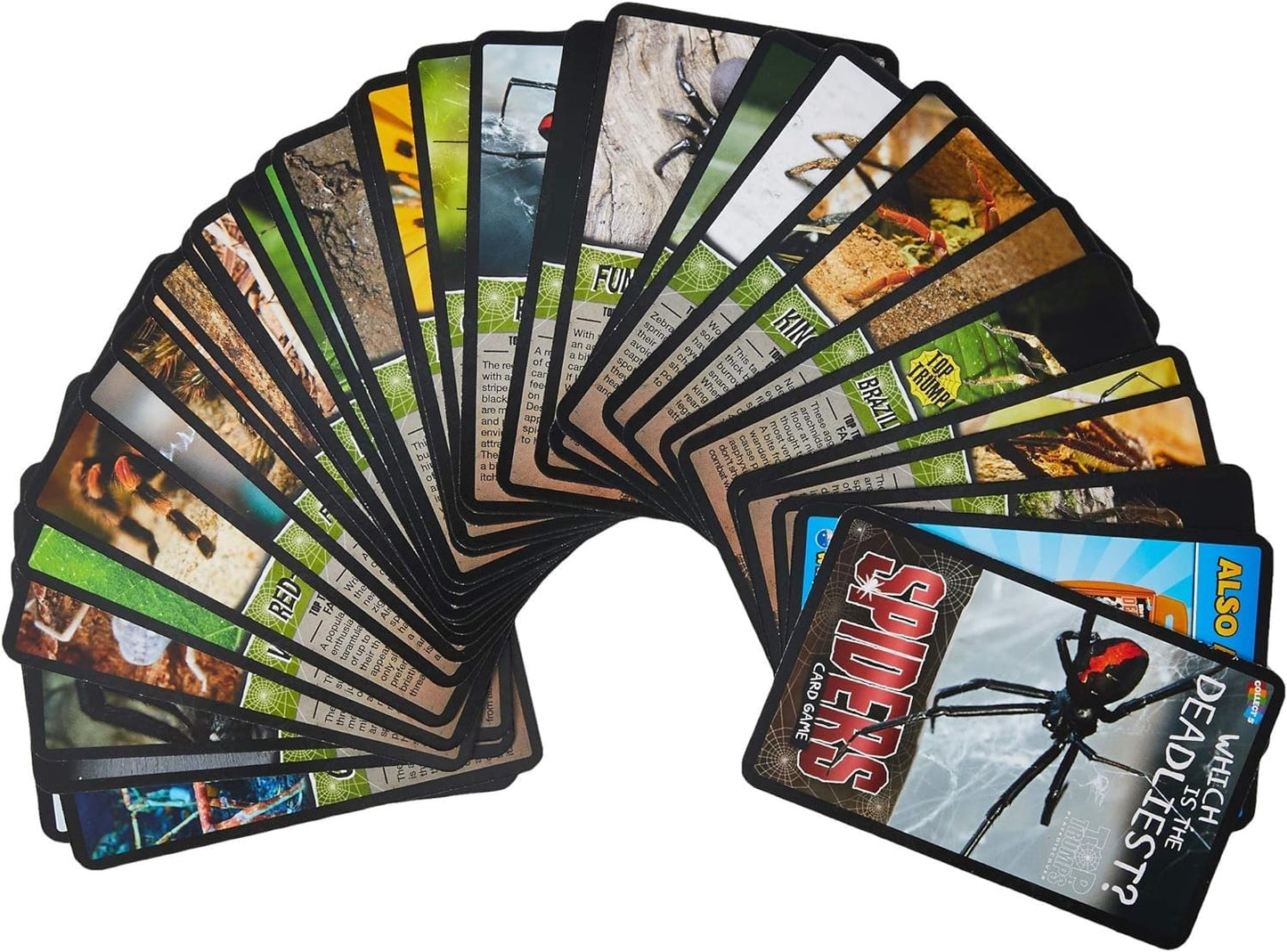 Top Trumps Spiders Classics Card Game – Goliath Bird Eater, Black Widow & Wheel Spider | 2+ Players | Ages 6+