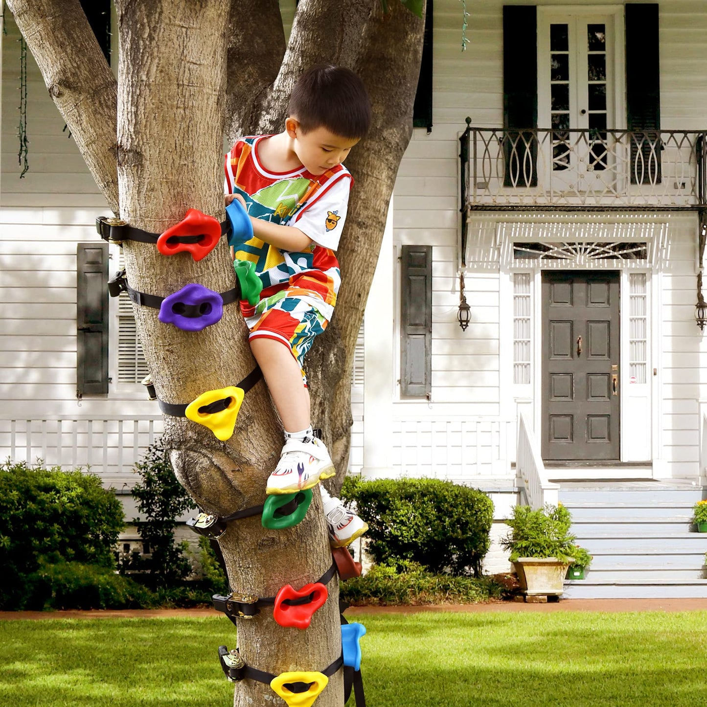 TOPNEW 12 Ninja Tree Climbing Holds + 6.6ft Rope Ladder – Outdoor Ninja Obstacle Kit