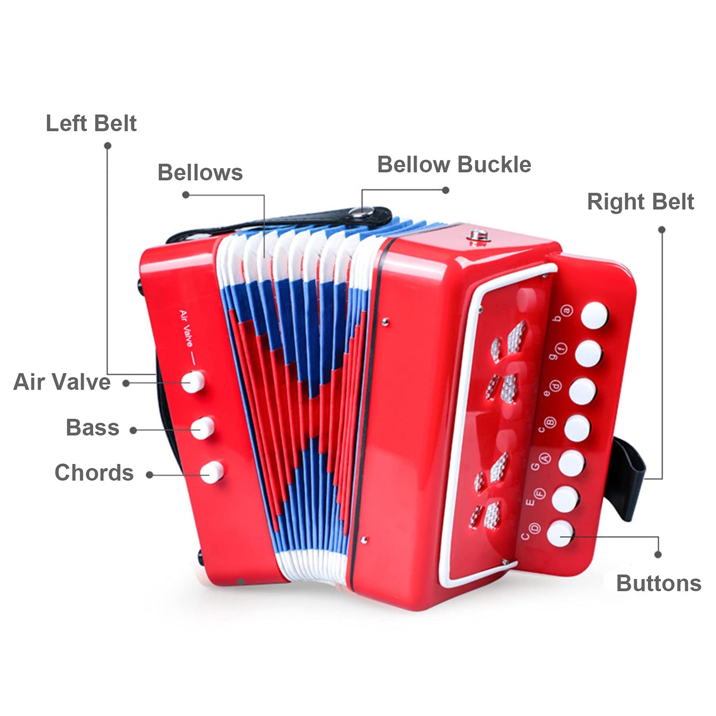 Tosnail Small Accordion – 10 Keys for Beginners, Portable Red