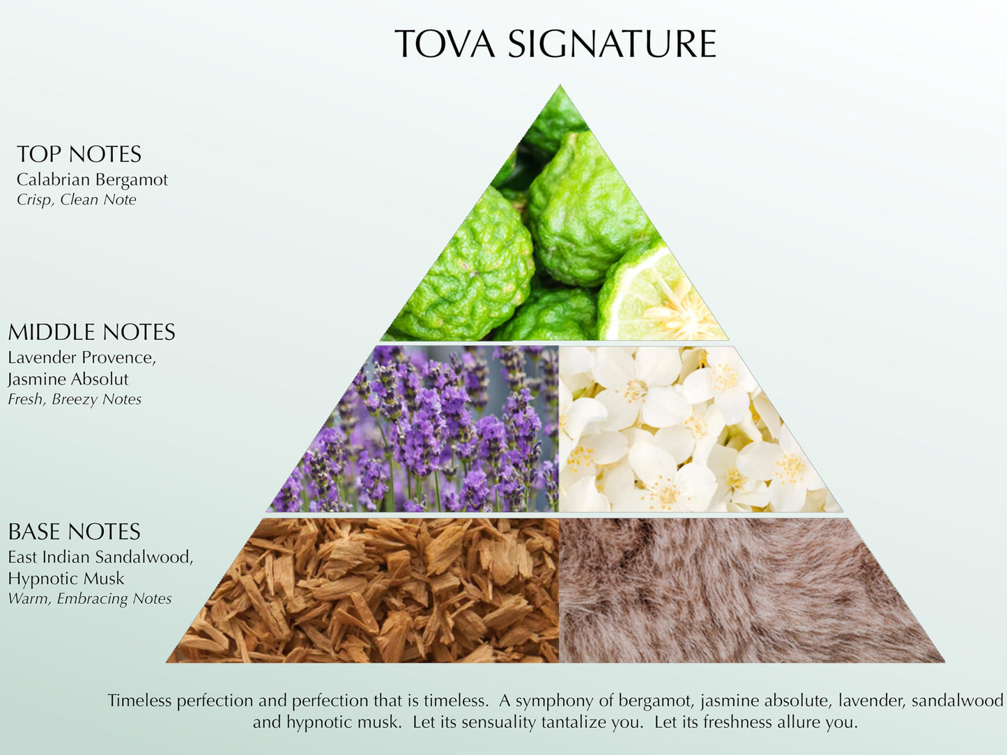Tova Signature Solid Perfume Compact – Fresh Bergamot Jasmine Musk | USA-Made & Cruelty-Free | 2.4 g