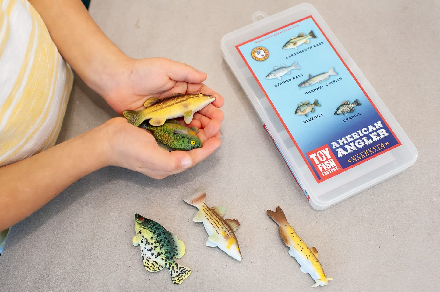 Toy Fish Factory American Angler Collection – 5 Realistic 3” Toy Fish Figurines