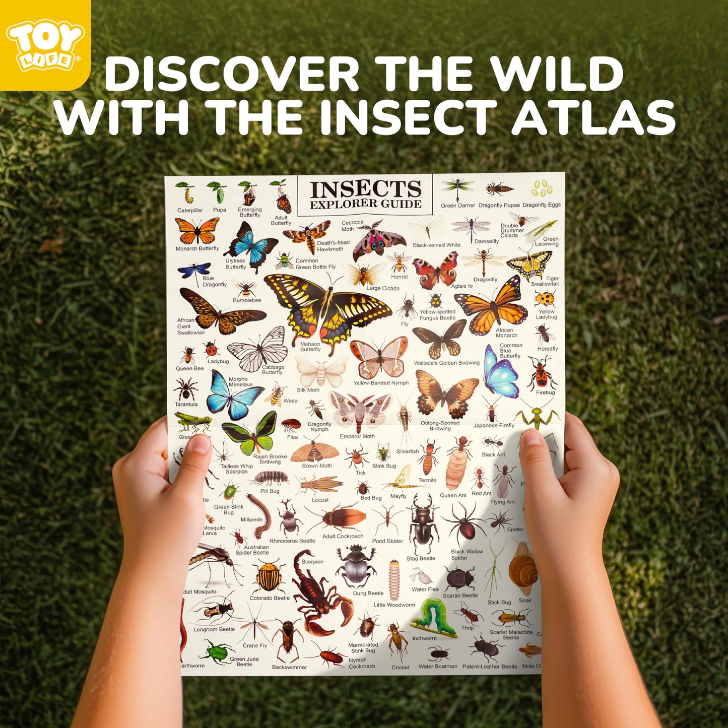 TOY Life Kids Explorer Bug Catcher Kit with Safari Costume & Outdoor Adventure Gear – Ages 3-12