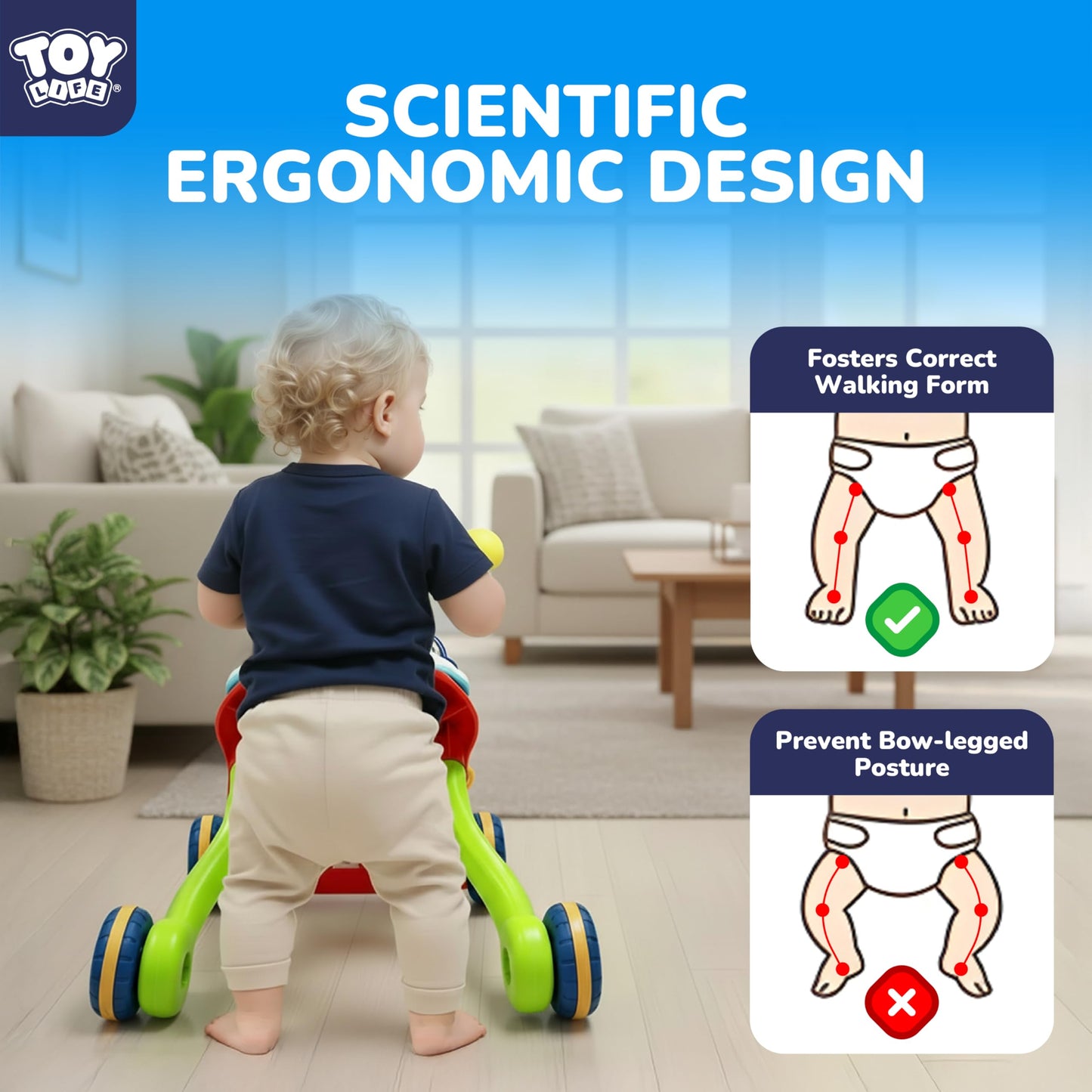 TOY Life 3-in-1 Baby Push Walker & Activity Center | Sit-to-Stand Toy for Babies 6-12 Months