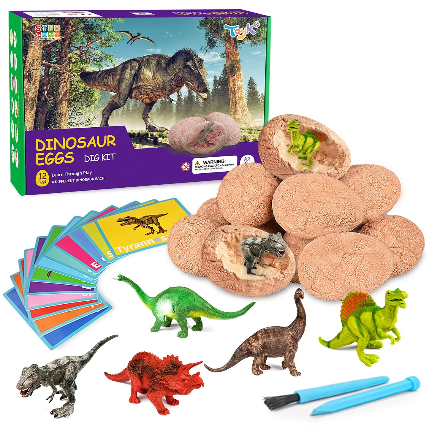 Toyk Dig Up Dinosaur Fossil Eggs — 12 Eggs, 12 Dinosaurs, Hands-on STEM Toy