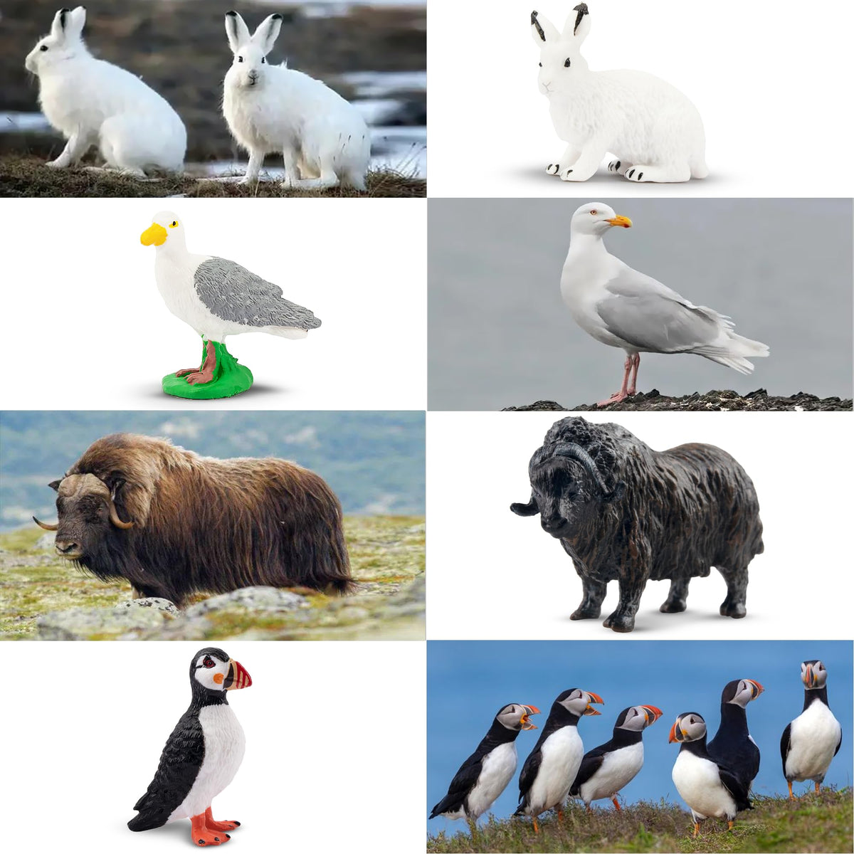 Toymany 14PCS Mini Arctic Animals Figurines Set – Polar Bears & Friends