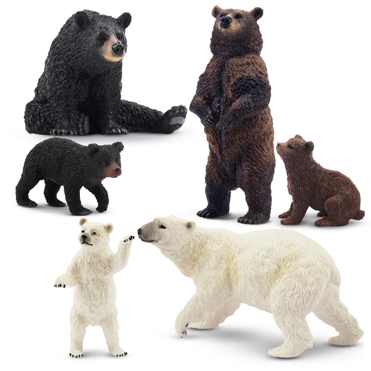 Toymany 6PCS Realistic Bear Figurines Set – Safe Plastic Bears for Kids and Education