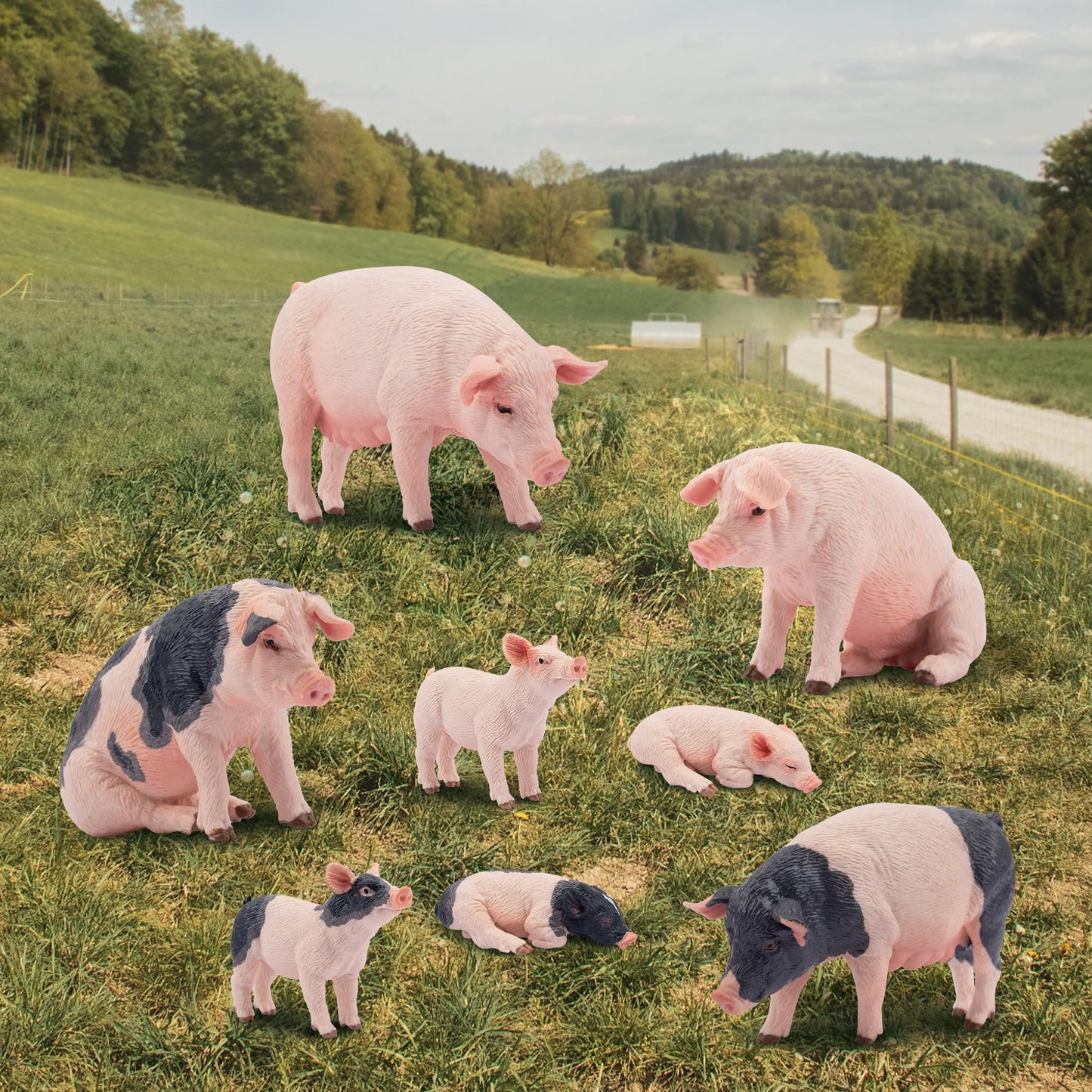 Toymany 8PCS Realistic Pig Figurines Set – Safe PVC Farm Animal Toys for Kids