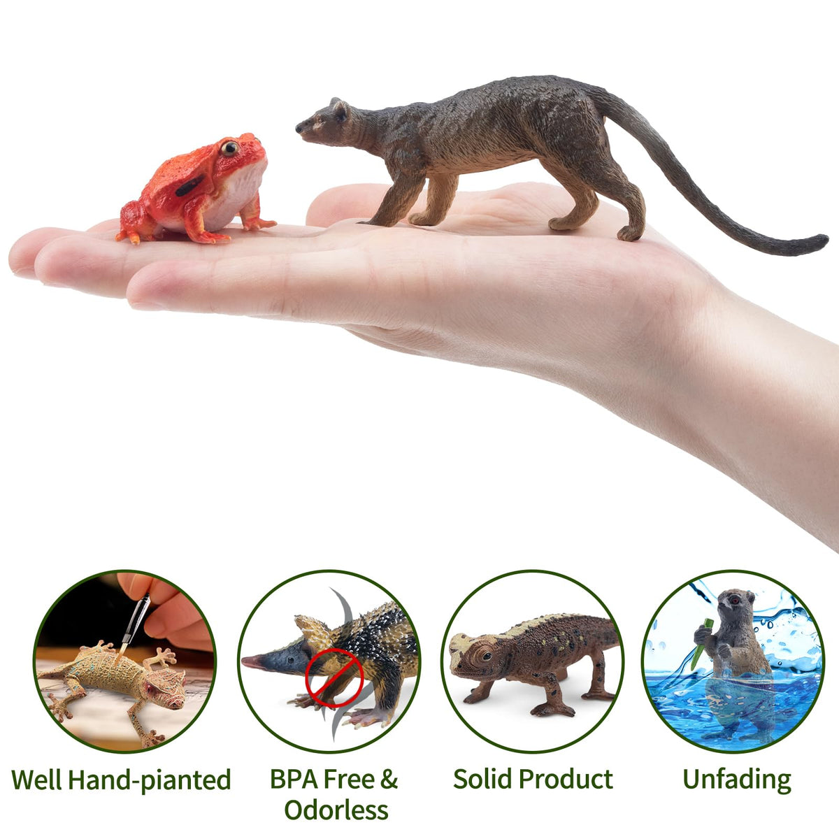 Toymany 12PCS Madagascar Animal Figurines Set — Realistic Jungle Toys for Kids and Collectors