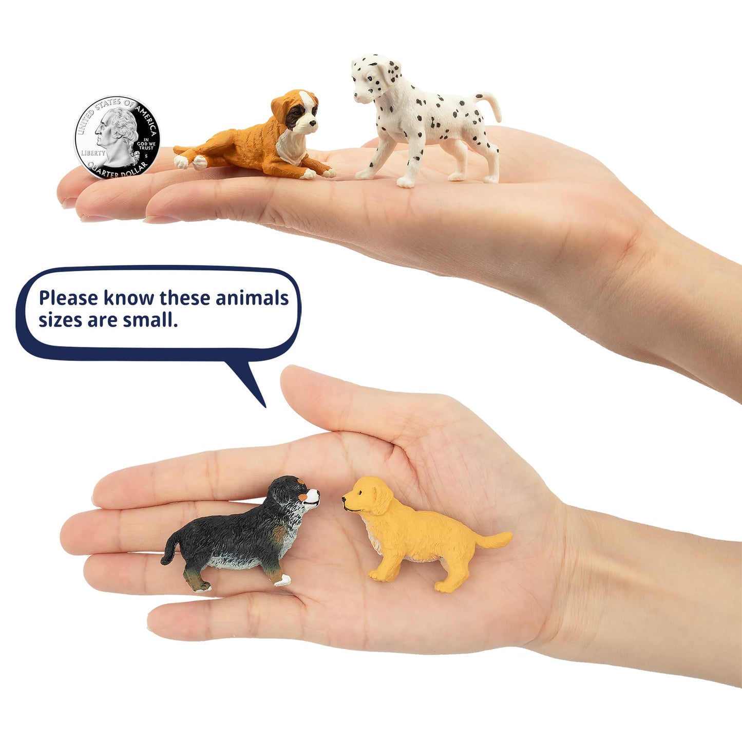 Toymany 12PCS Mini Dog Figurines Playset – Realistic Hand-Painted Puppy Figures for Cake Toppers & Kids’ Gifts
