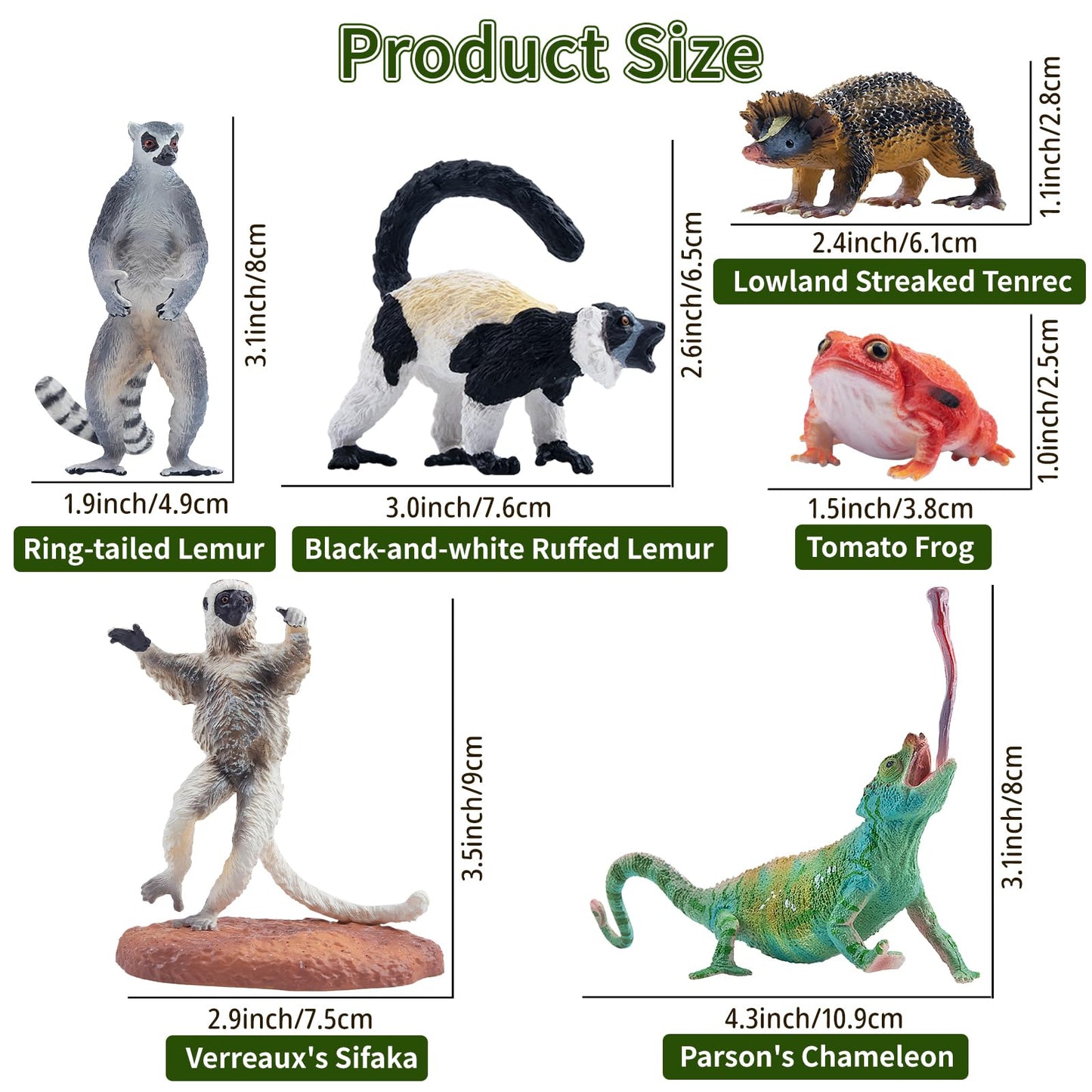 Toymany 12PCS Madagascar Animal Figurines Set — Realistic Jungle Toys for Kids and Collectors