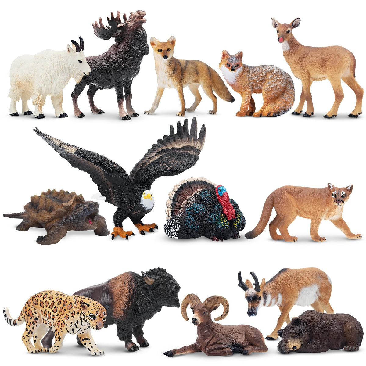Toymany 14PCS Mini North American Forest Animals Figurines – Realistic Wildlife Toys for Kids