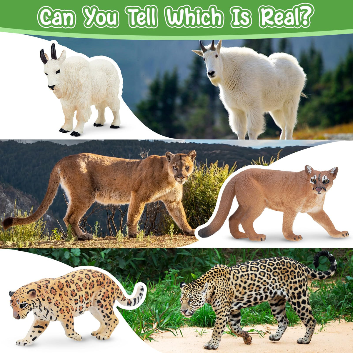 Toymany 14PCS Mini North American Forest Animals Figurines – Realistic Wildlife Toys for Kids
