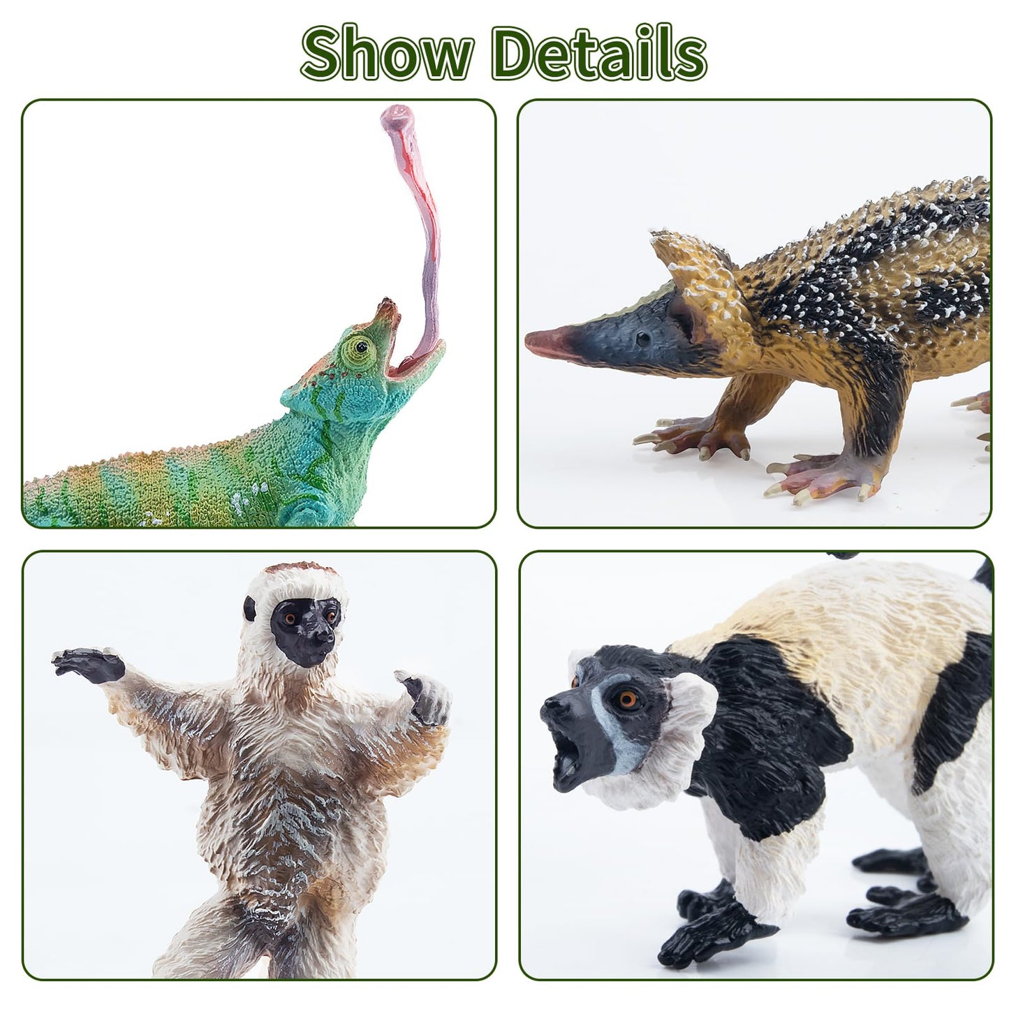 Toymany 12PCS Madagascar Animal Figurines Set — Realistic Jungle Toys for Kids and Collectors