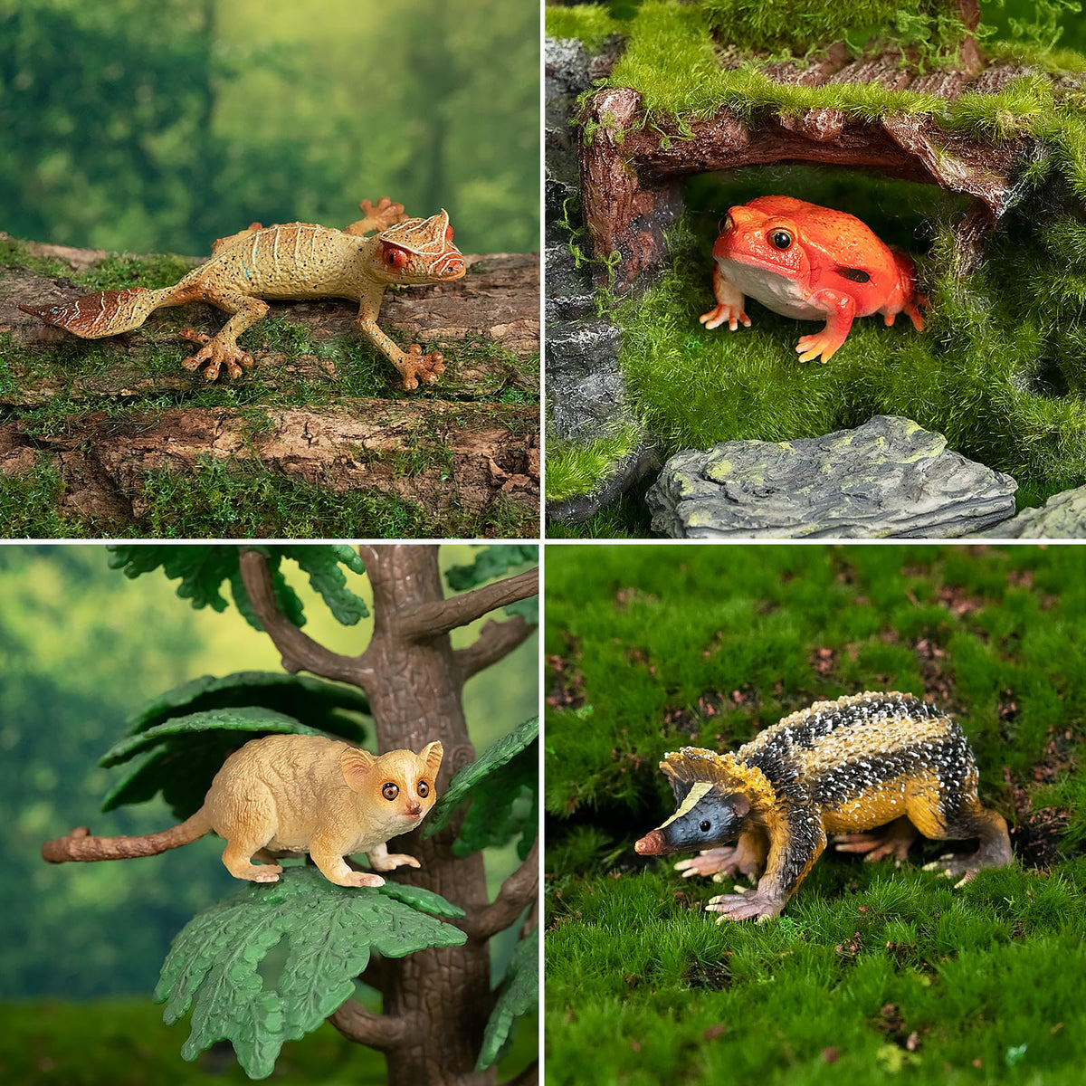Toymany 12PCS Madagascar Animal Figurines Set — Realistic Jungle Toys for Kids and Collectors