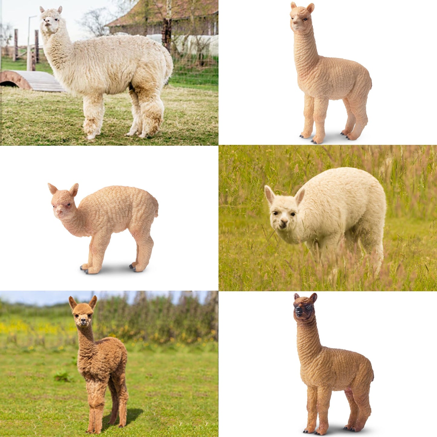 Toymany 8pcs Realistic Alpaca Figurines – Llama Figures for Kids