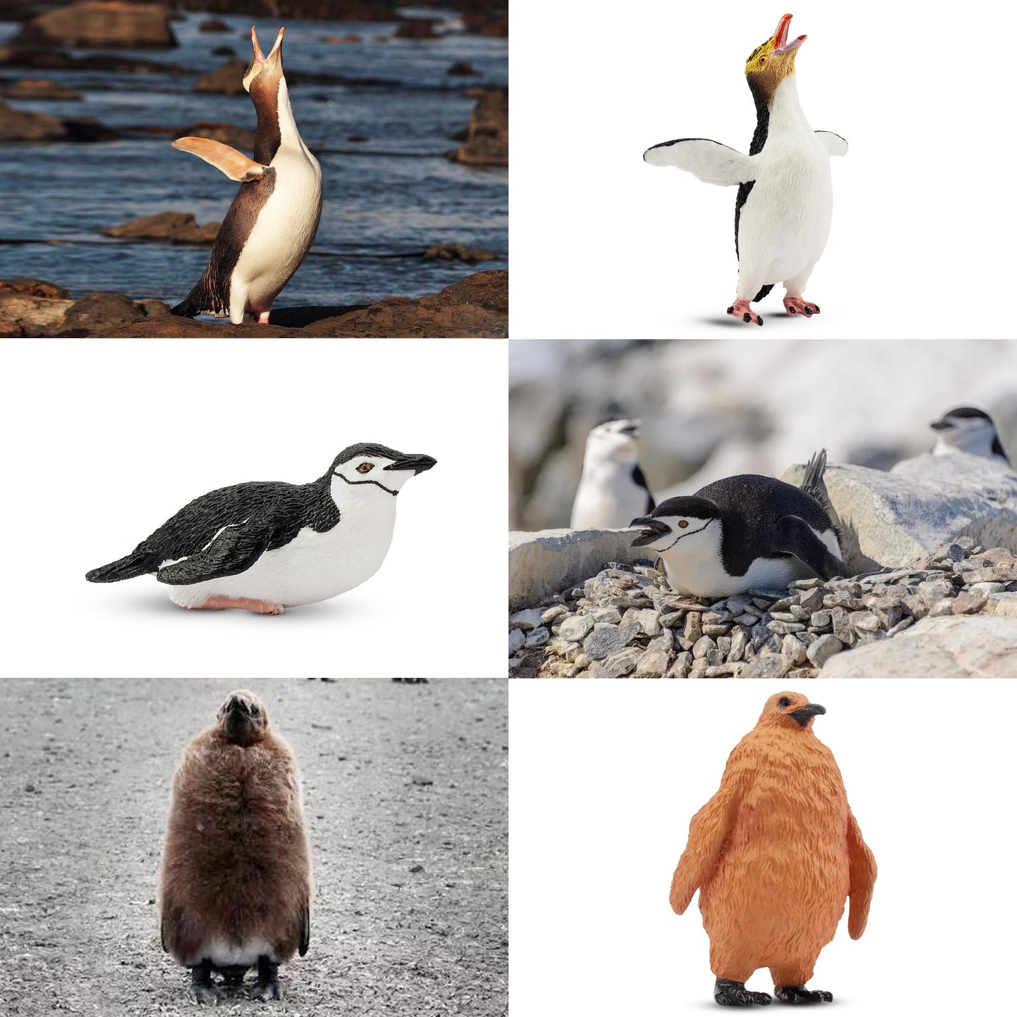 Toymany 12-Pack Realistic Penguin Figurines – Educational Playset & Cake Toppers