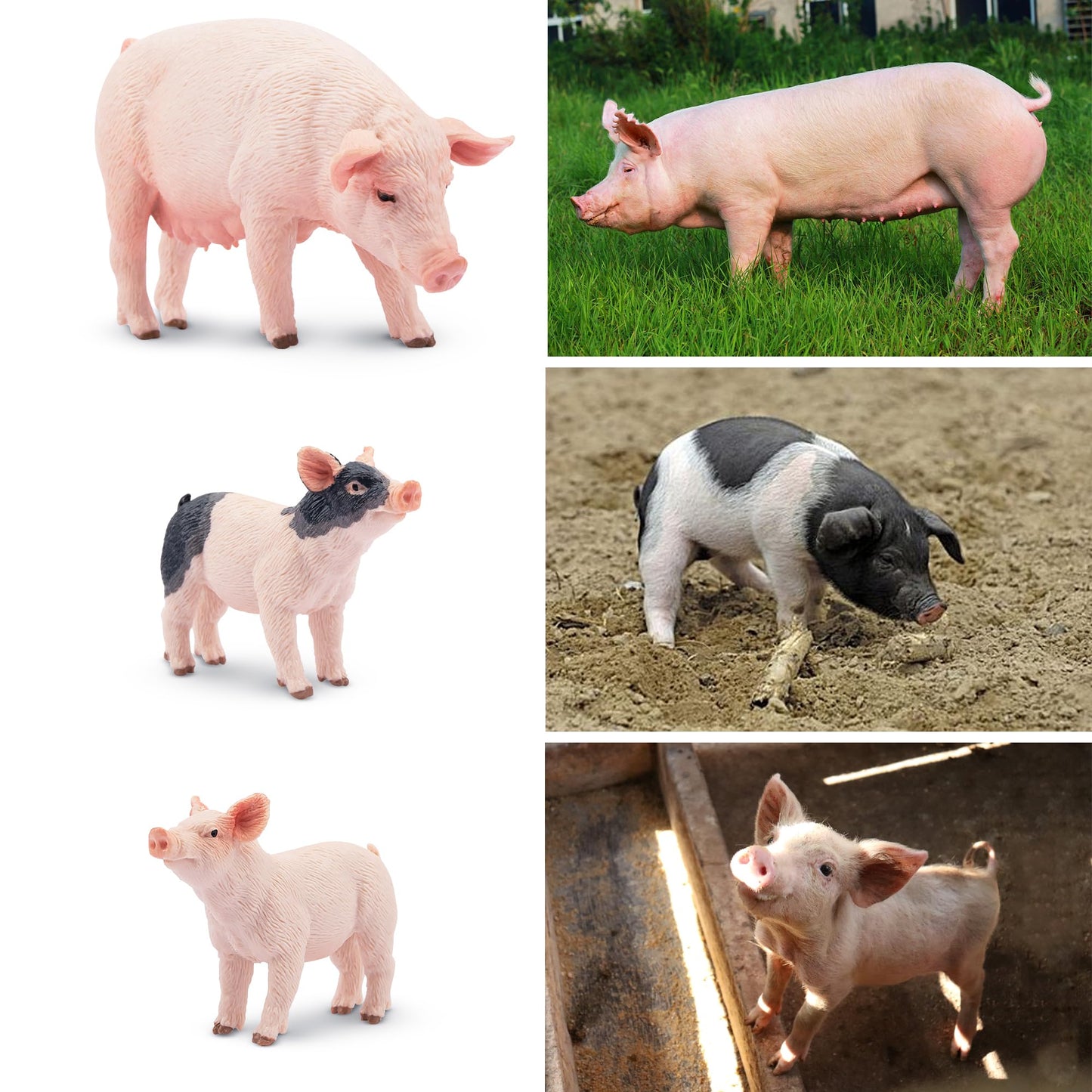 Toymany 8PCS Realistic Pig Figurines Set – Safe PVC Farm Animal Toys for Kids