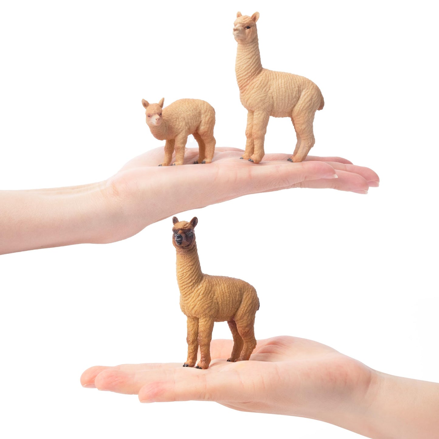 Toymany 8pcs Realistic Alpaca Figurines – Llama Figures for Kids