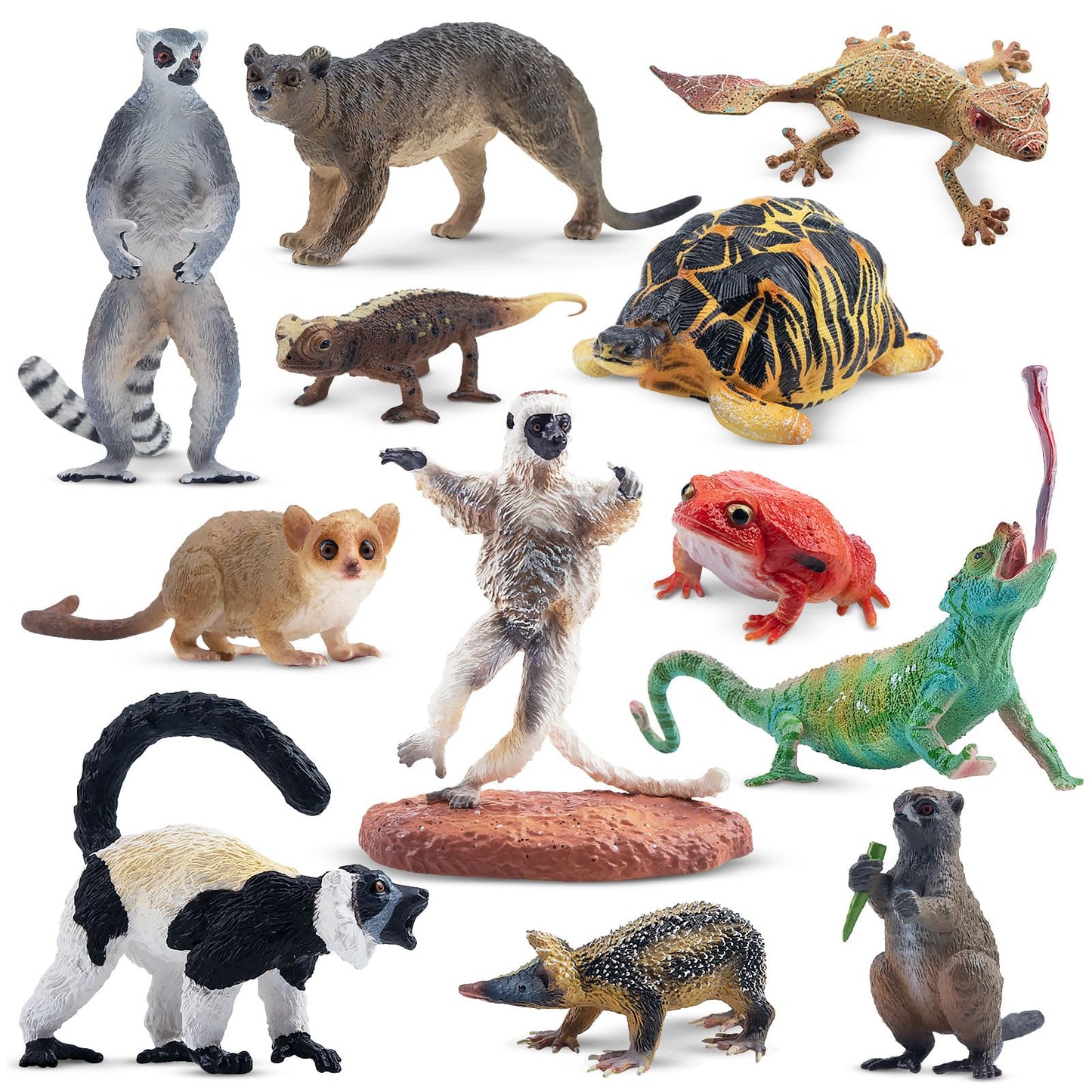 Toymany 12PCS Madagascar Animal Figurines Set — Realistic Jungle Toys for Kids and Collectors