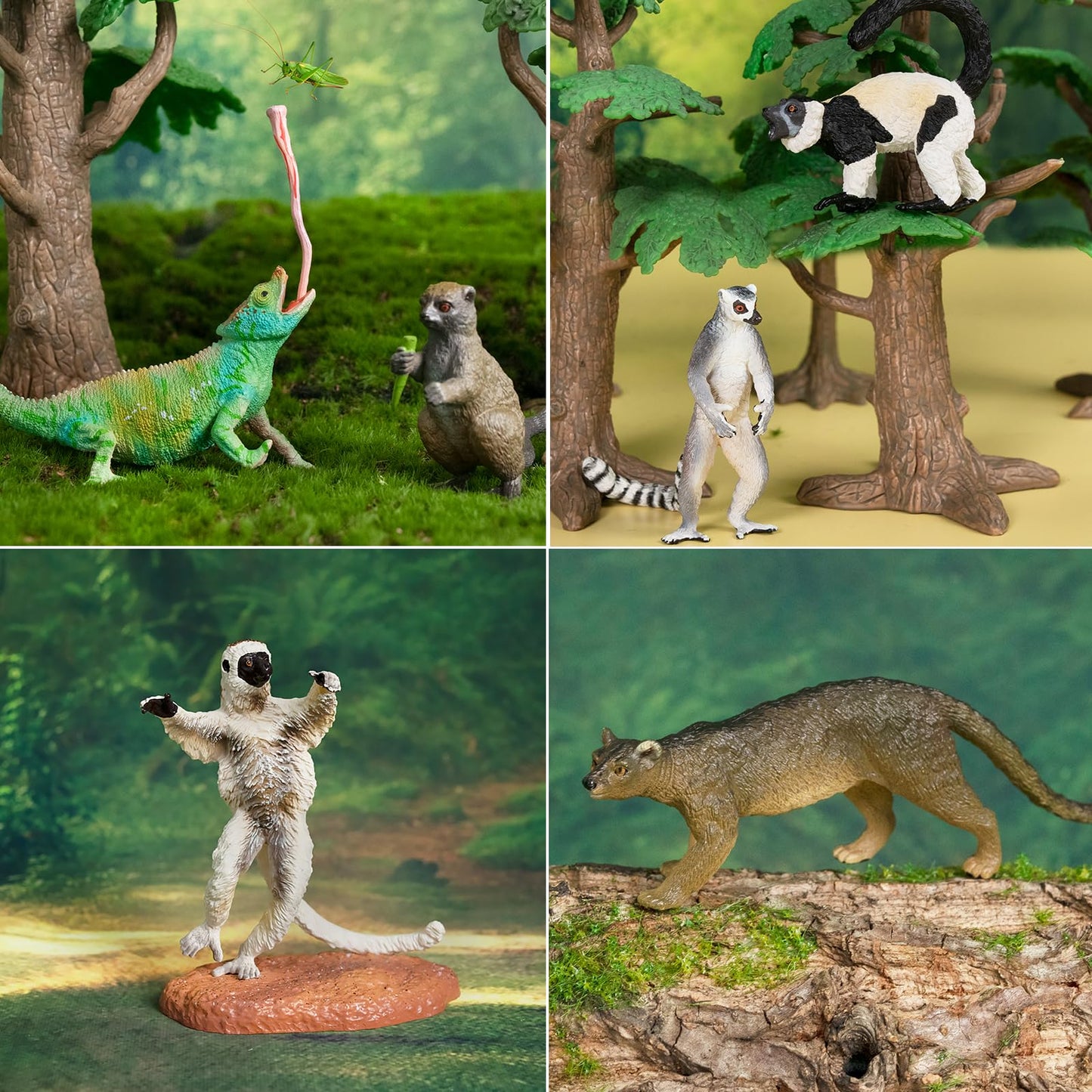 Toymany 12PCS Madagascar Animal Figurines Set — Realistic Jungle Toys for Kids and Collectors