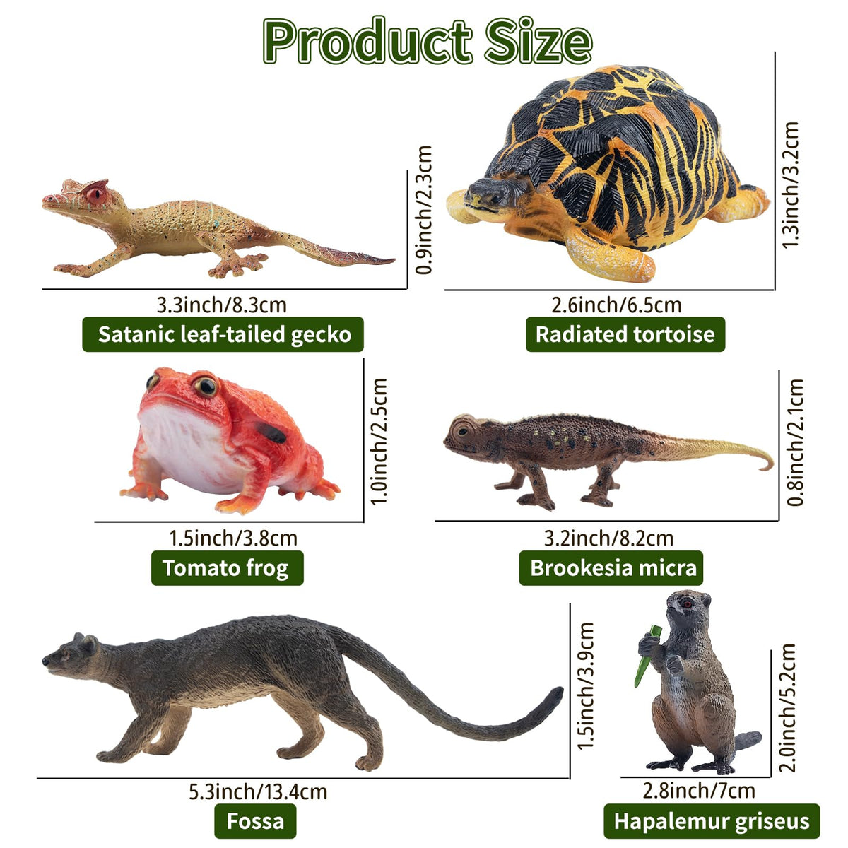 Toymany 12PCS Madagascar Animal Figurines Set — Realistic Jungle Toys for Kids and Collectors
