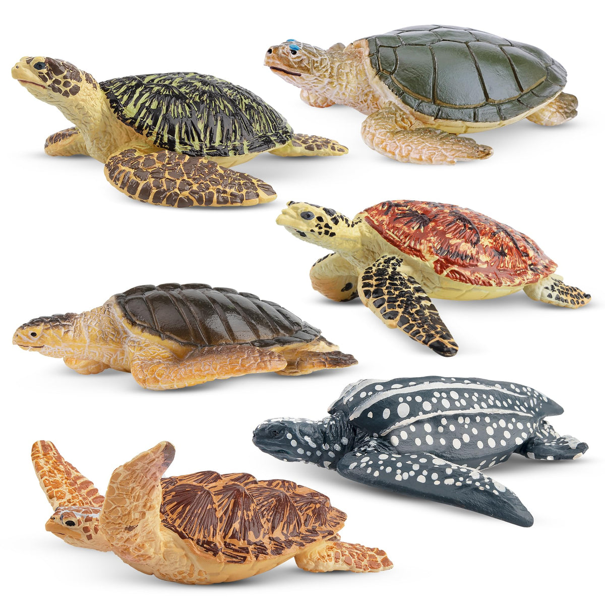 Toymany 6PCS Realistic Sea Turtle Figurines – Hand-Painted PVC Educational Toy Set