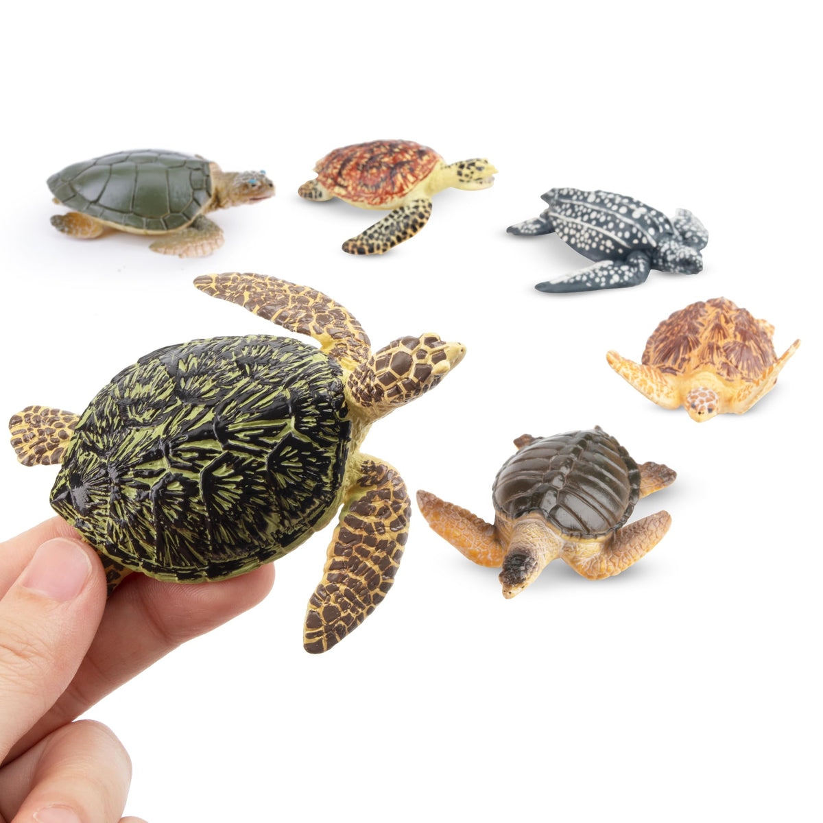 Toymany 6PCS Realistic Sea Turtle Figurines – Hand-Painted PVC Educational Toy Set