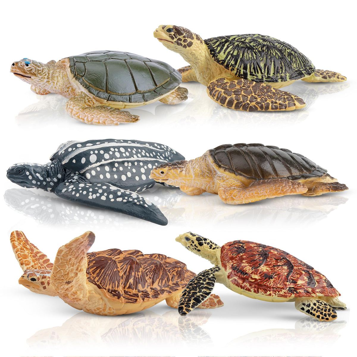 Toymany 6PCS Realistic Sea Turtle Figurines – Hand-Painted PVC Educational Toy Set