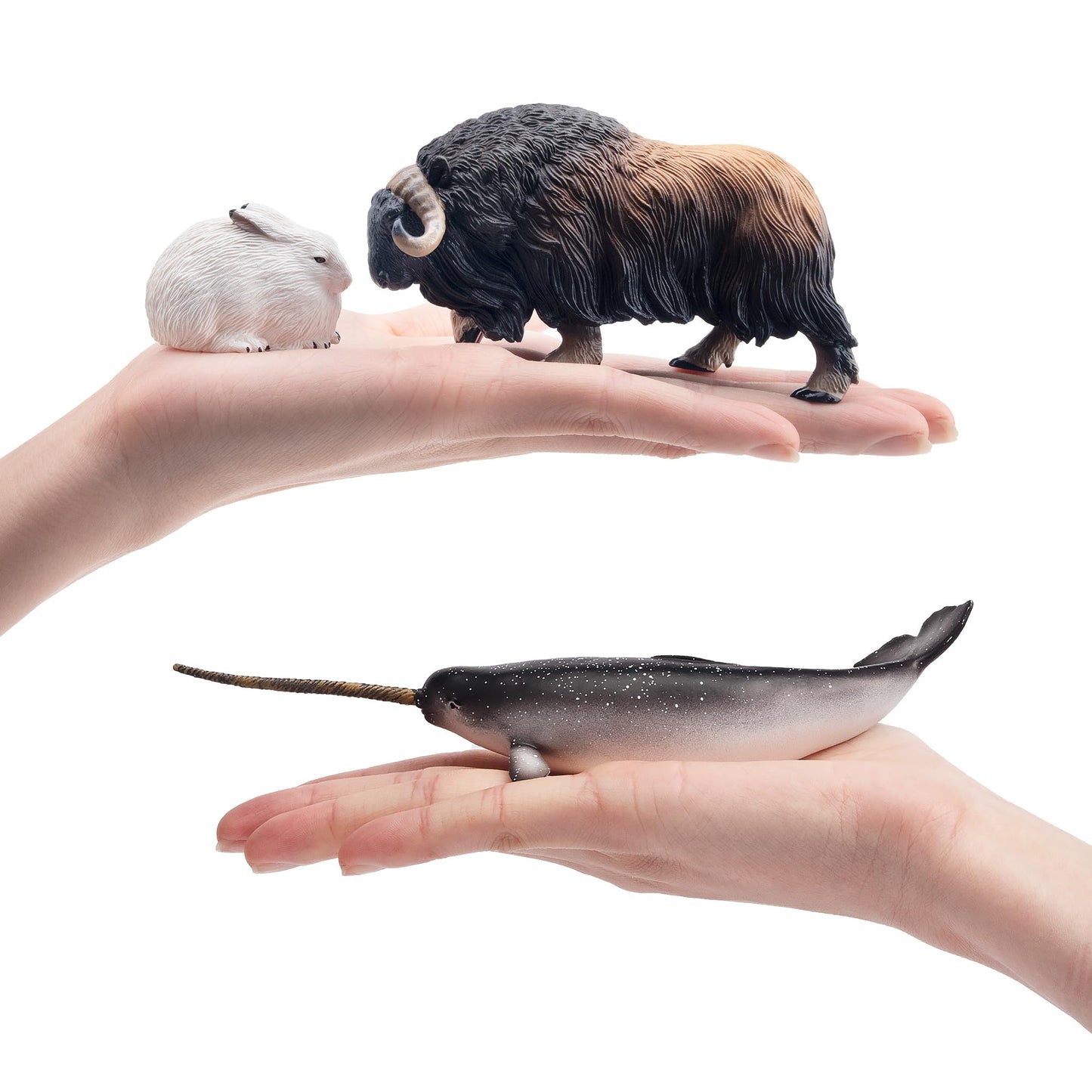 Toymany 12PCS Large Arctic Animal Figurines Set | Polar Bear, Narwhal, Orca & More