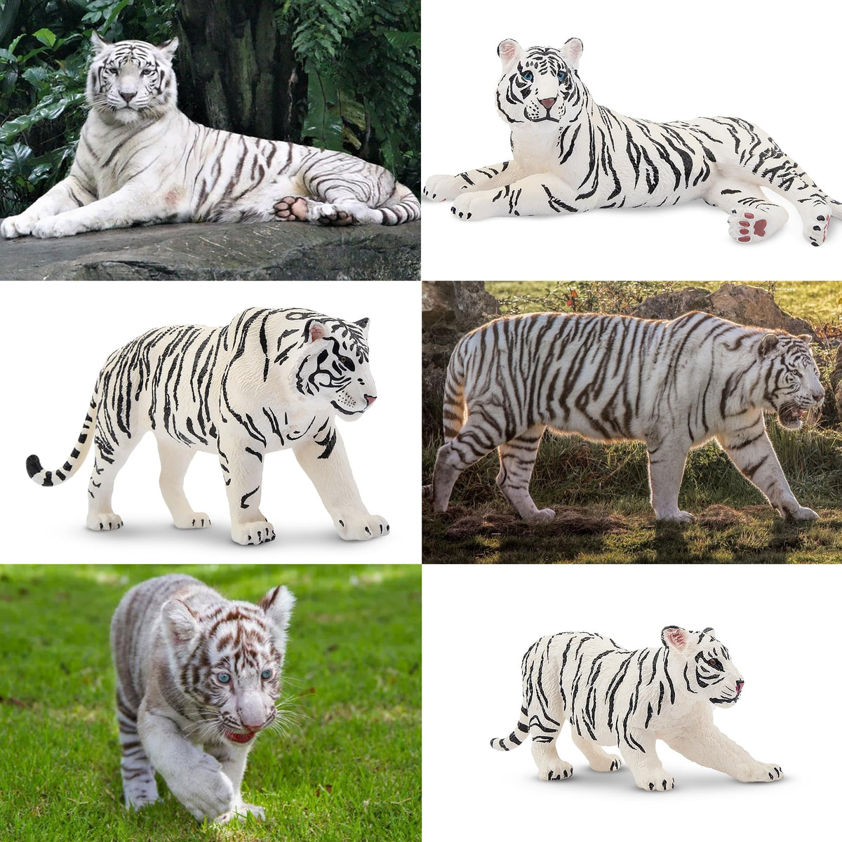 Toymany 6pc White Tigers with Cubs – Realistic Jungle Animal Figurines