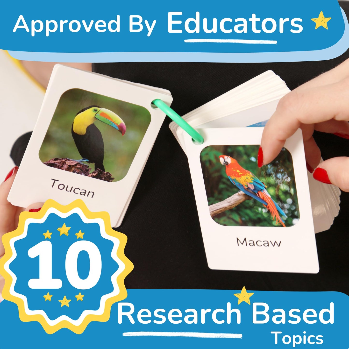 TOYVENTIVE Thick & Sturdy Flash Cards with Rings for Toddlers 1–3 – Montessori & Language Learning Toys