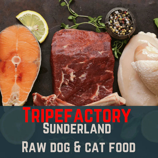 Tripefactory Sunderland - 1lb Block (Single) - Raw Dog & Cat Food