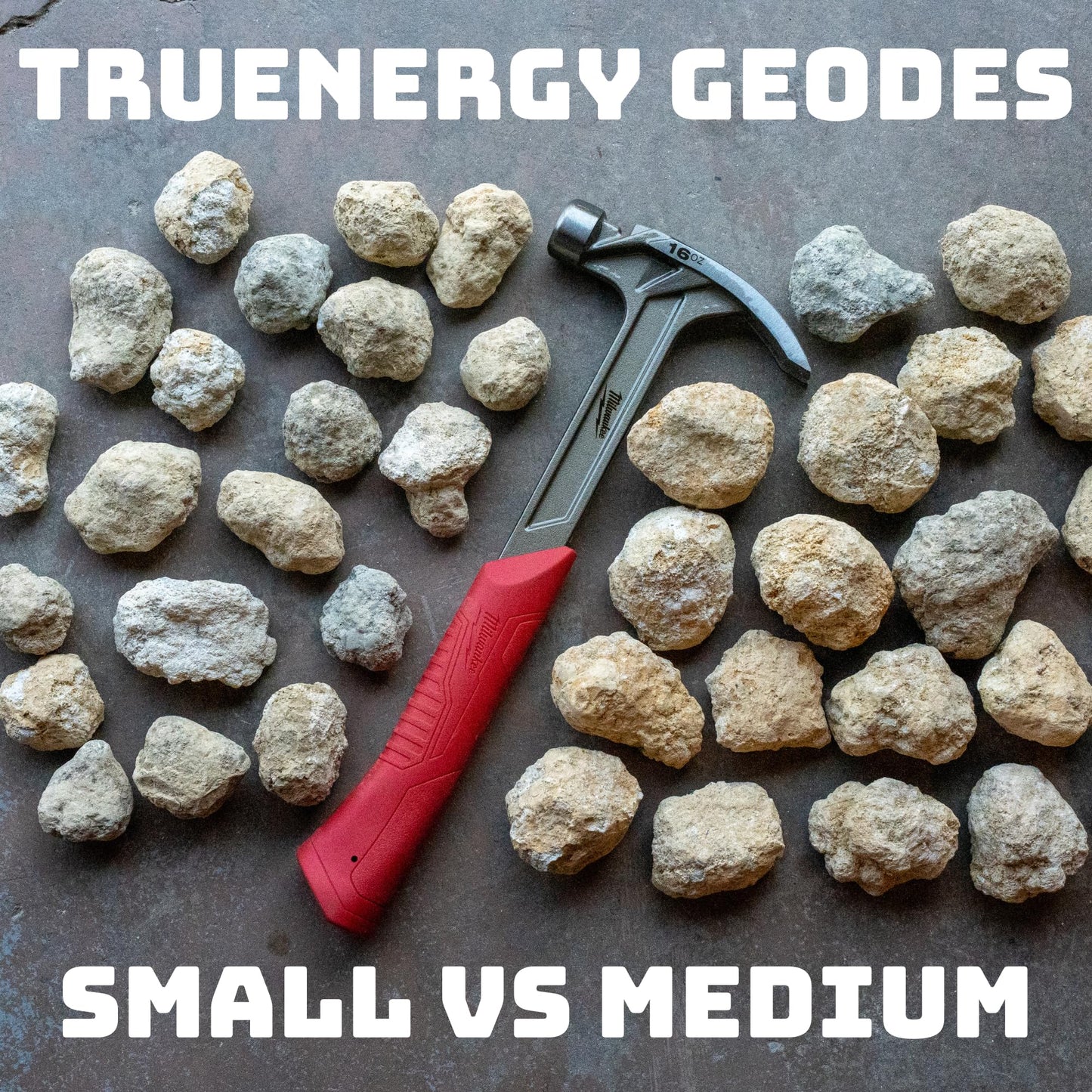 TruEnergy Geodes for Kids Break Open Science Kit – 20 Natural Crystal Geodes, Magnifying Glass & Learning Guide
