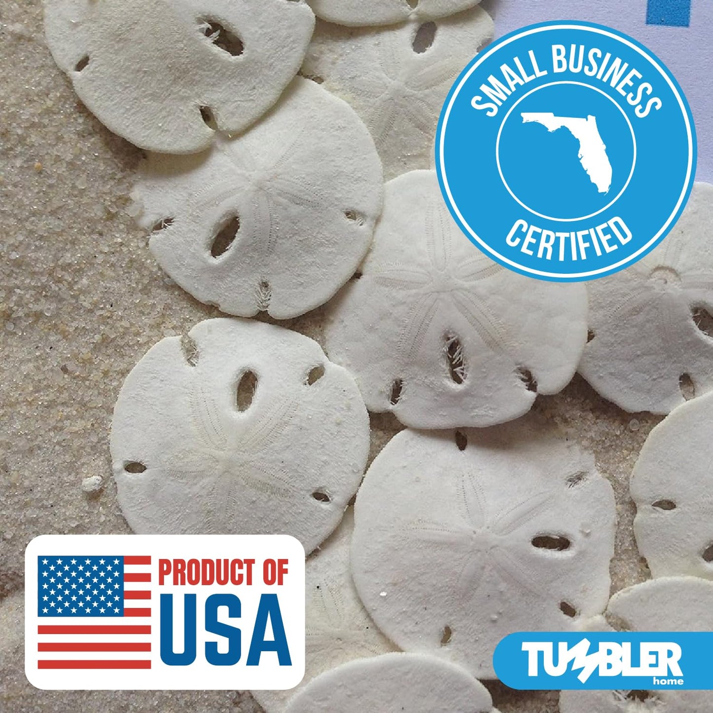 Tumbler Home Sand Dollars 50pcs – Under 1 Inch Tiny White Seashells for Crafts & Weddings