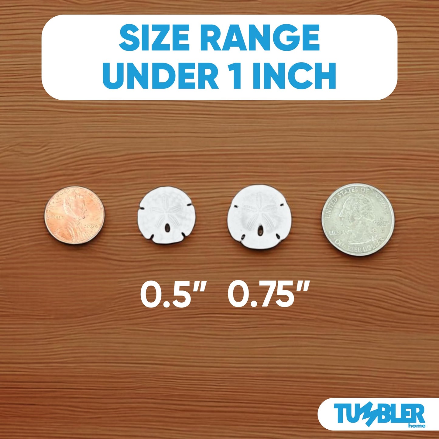 Tumbler Home Sand Dollars 50pcs – Under 1 Inch Tiny White Seashells for Crafts & Weddings