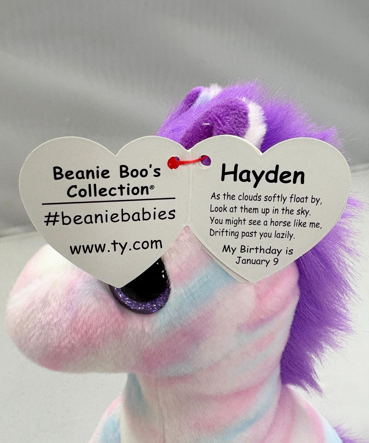 Ty Beanie Boo Hayden The Pastel Horse – 6-Inch Plush Toy