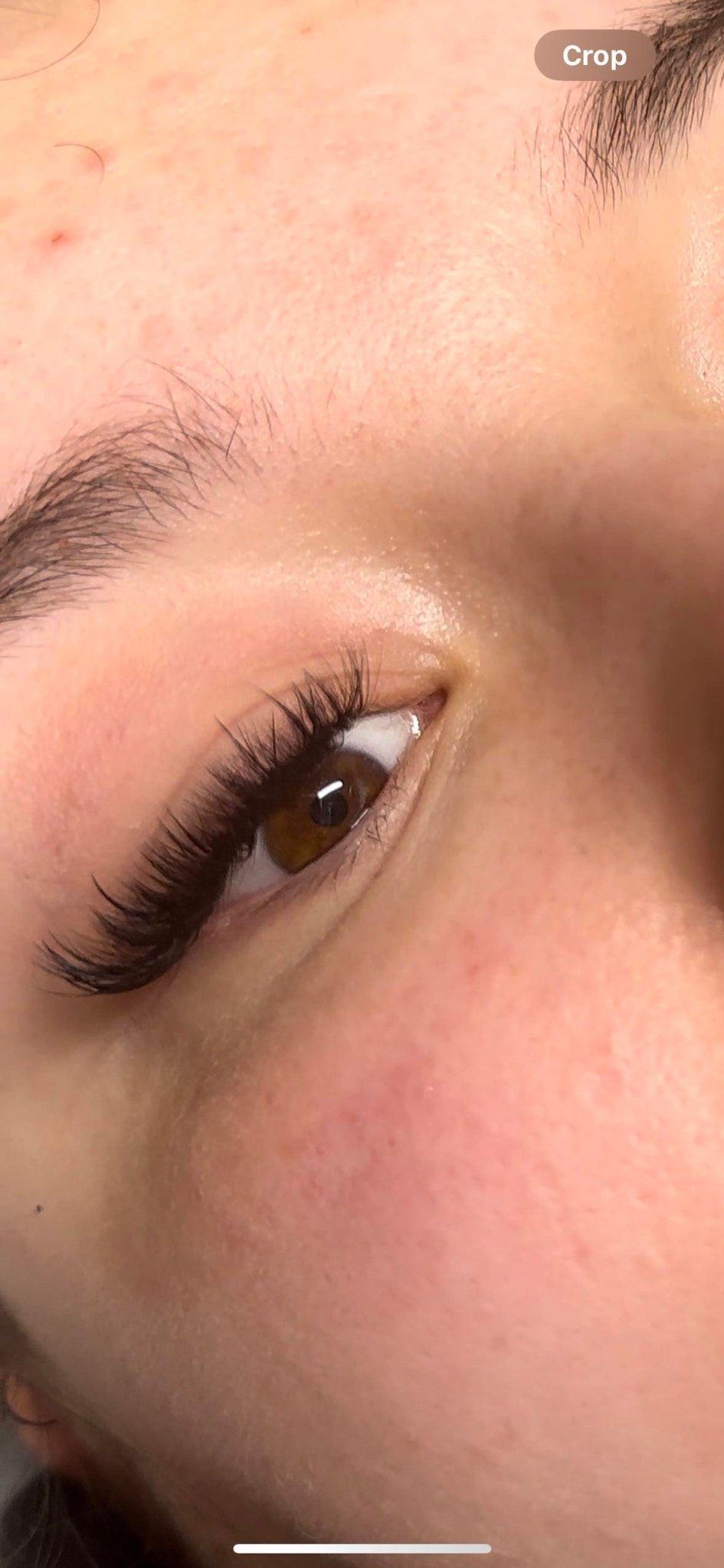 Wet Look Lash Mixed Tray