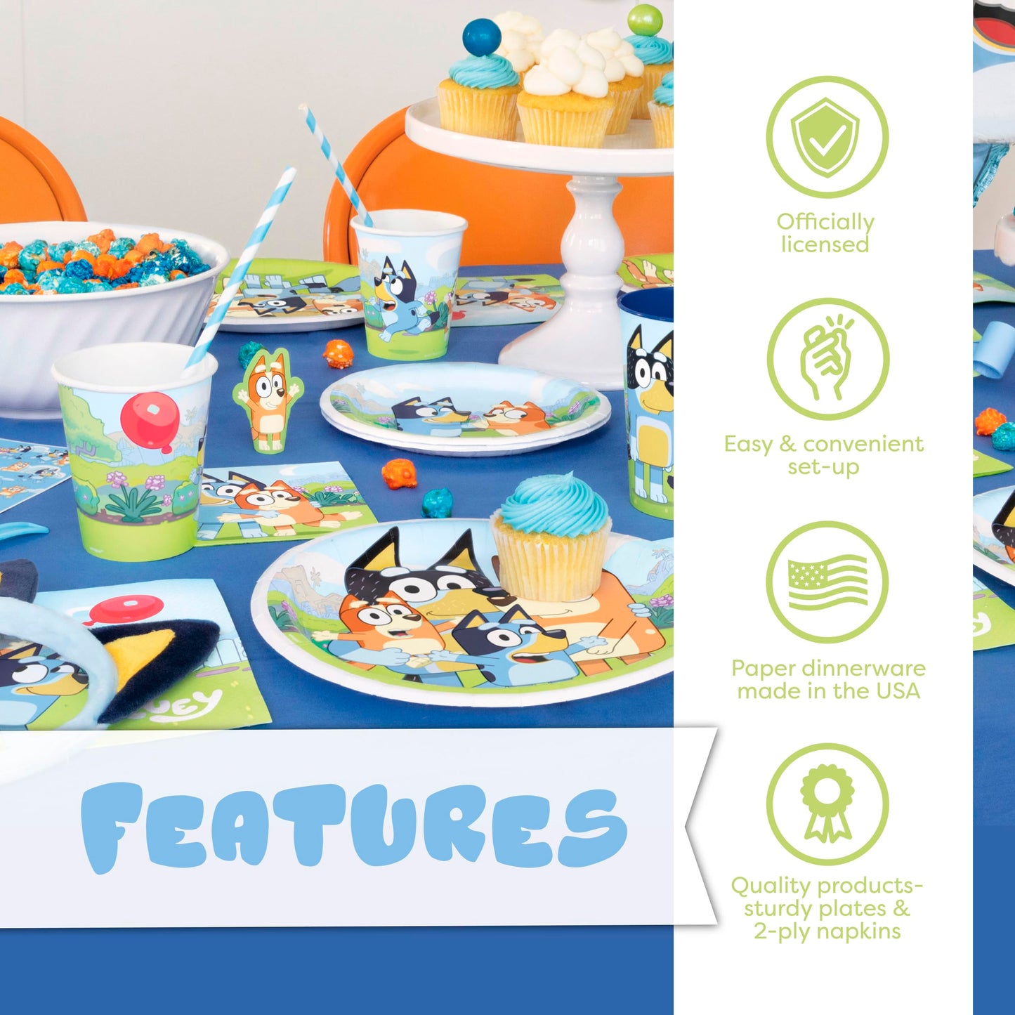 Unique Bluey Birthday Party Supplies & Decorations – Table Cover & Dinnerware