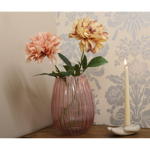 Dahlia Flower Stems