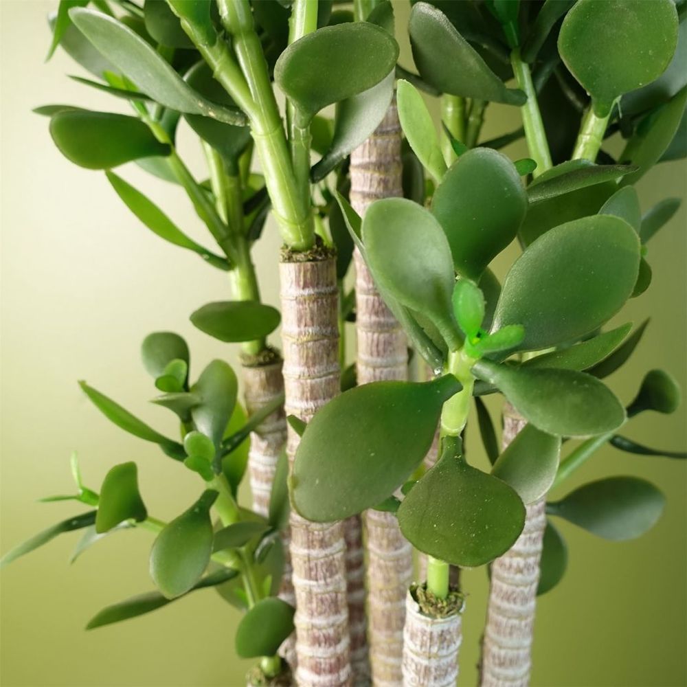 Deluxe 75cm Green Jade Plant: Exquisite, Realistic, Elegant, Sophisticated, Perfect for Any Space.