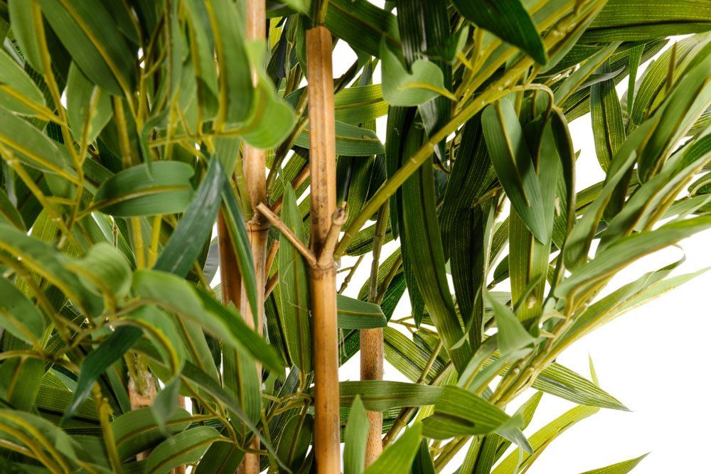 Realistic 6ft Bamboo Tree - High Quality, Wholesale Price - Indoor/Outdoor Use