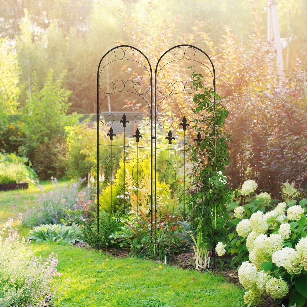 Premium Metal Trellis (Set of 2): Perfect for Climbing Plants, Elegant Scroll Design, Durable & Stylish