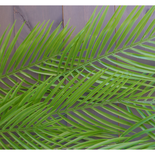 120cm Artificial Hanging Palm Leaf Plant