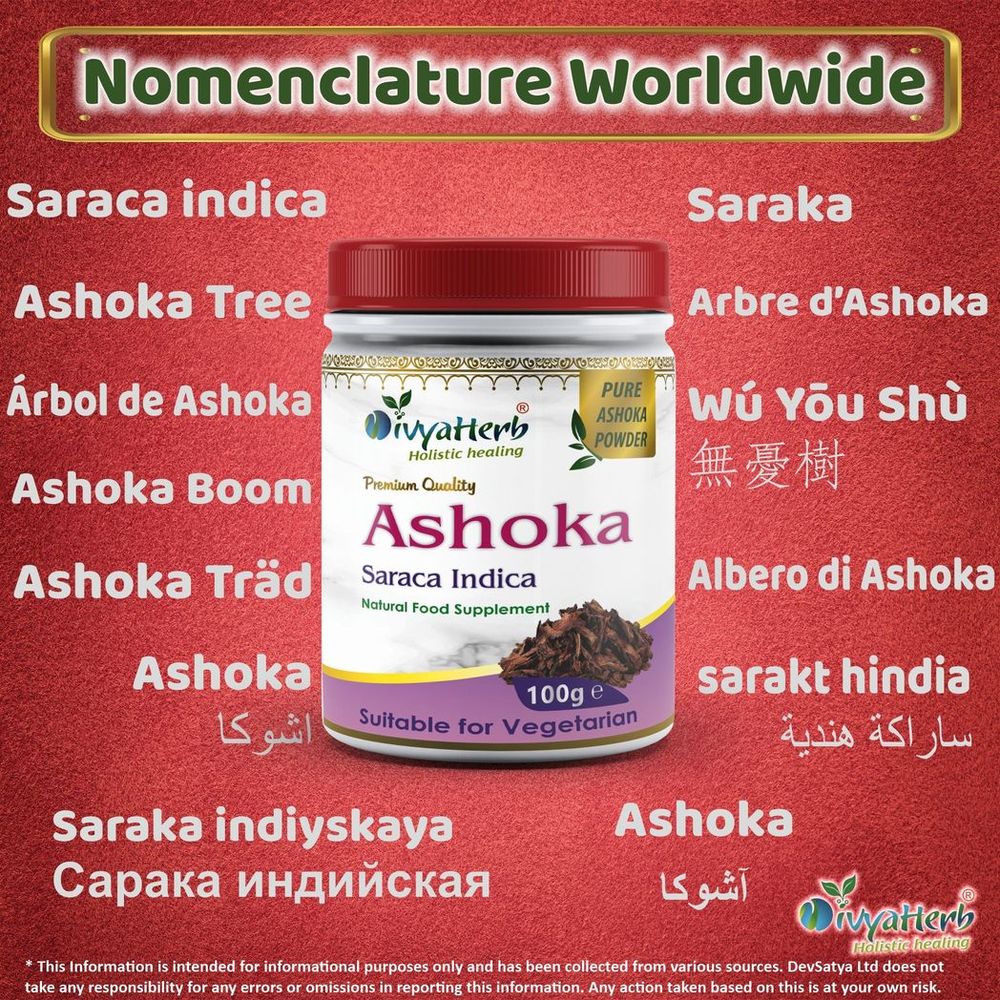 Premium Ashoka Bark Powder - Enhance Health & Wellbeing