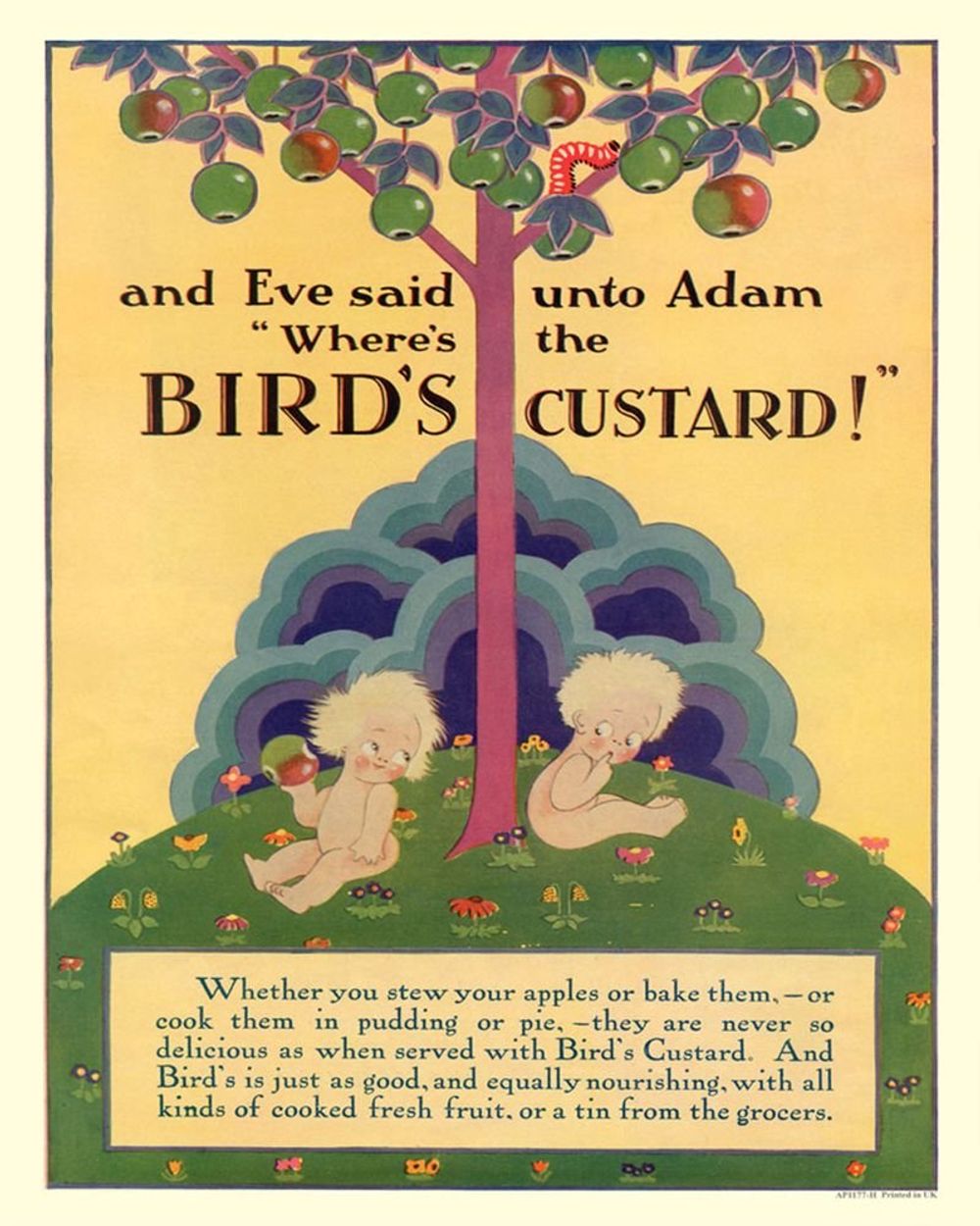 Retro Birds Custard Metal Sign - Vintage Advertising - 0.1 x 40 x 28cm