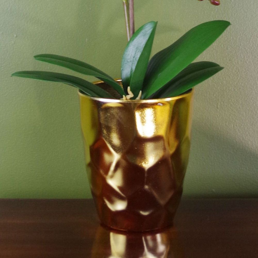 Captivating White 54cm Artificial Orchid in Gold Pot - Lifelike, Real Touch Flowers - Perfect for Any Space!