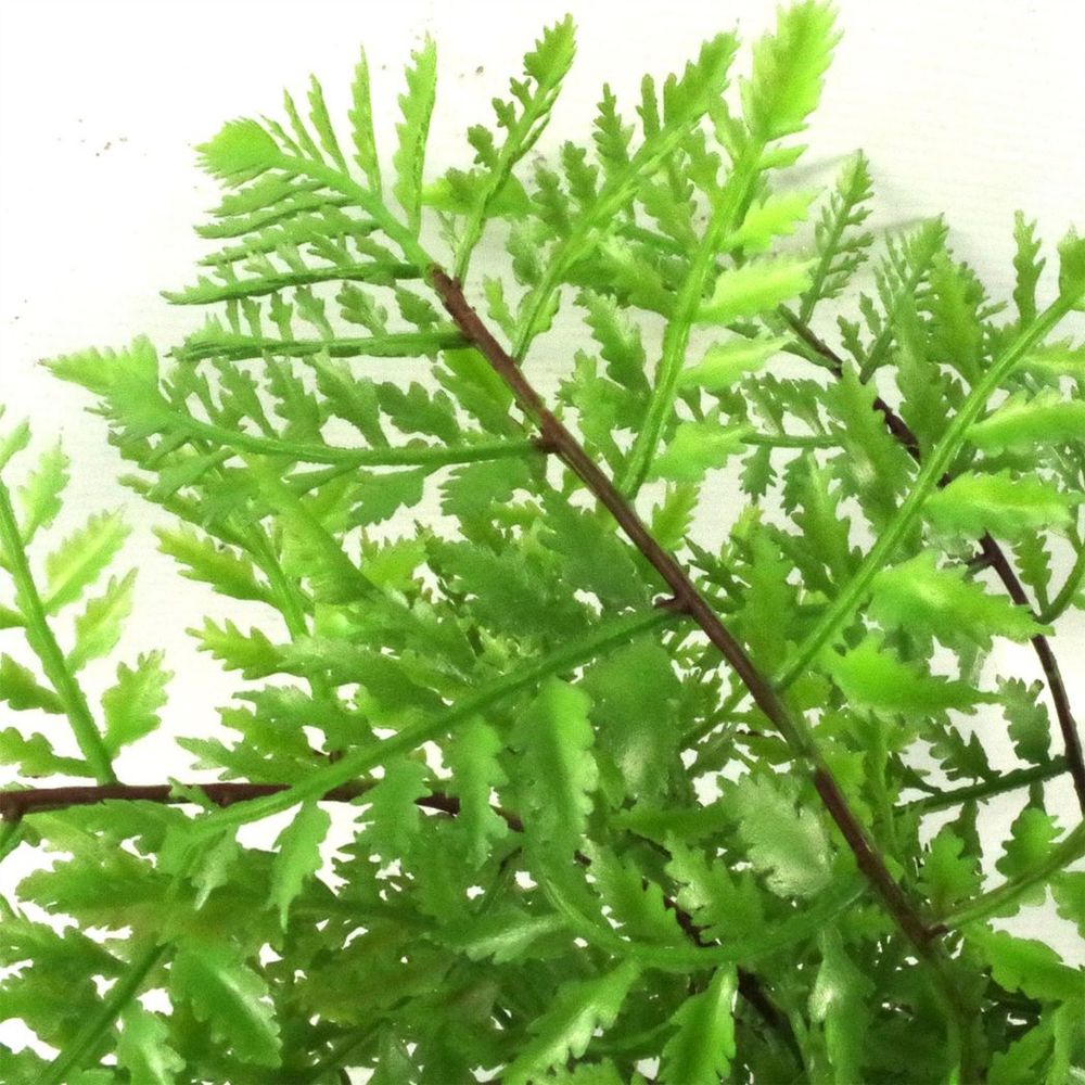Premium 30cm Artificial Southern Wood Fern - Realistic Leaf Design - High Quality - Fast Shipping