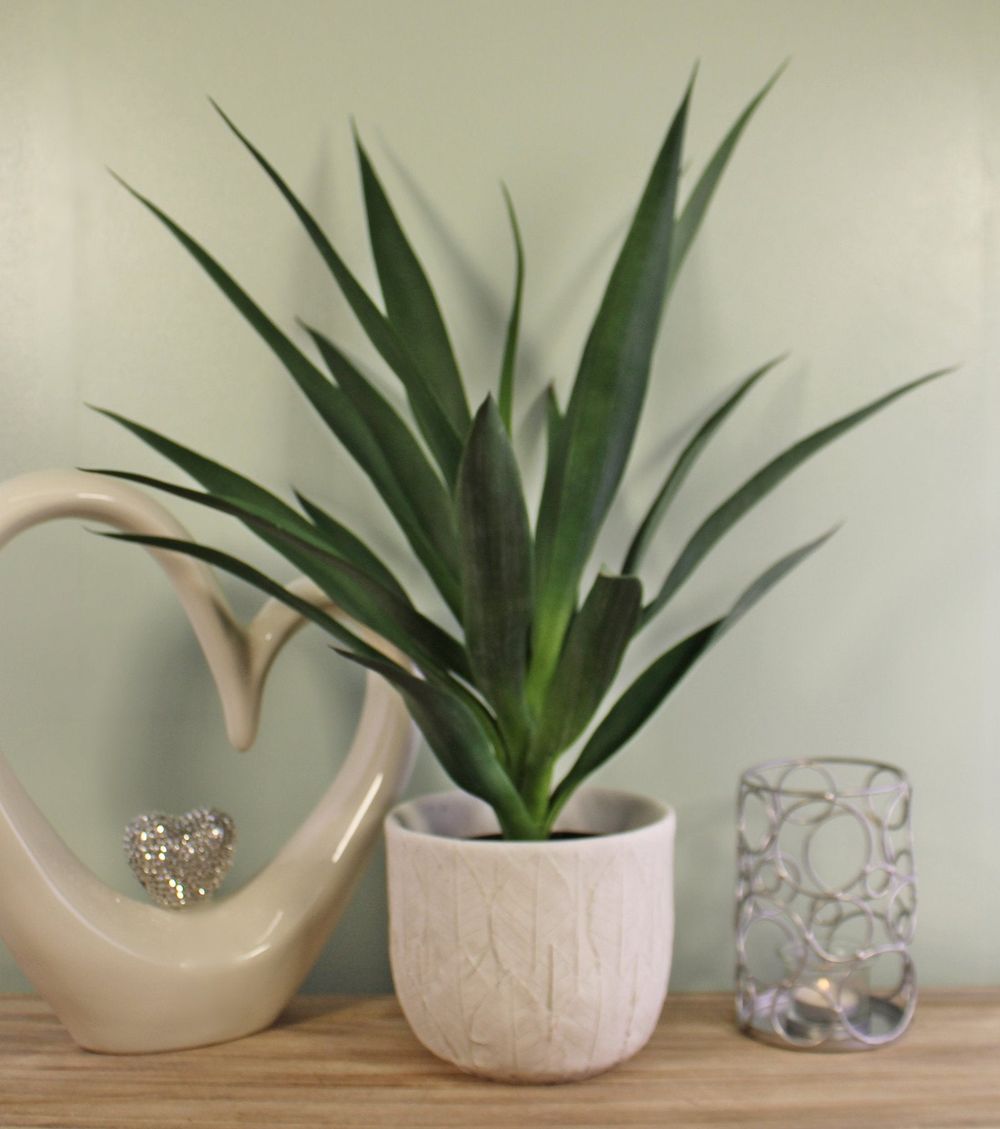 Realistic Artificial Yucca Plant, 60cm ? High Quality & Perfect for Indoor/Outdoor Use