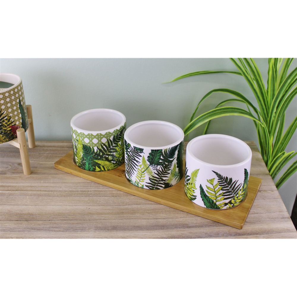 Fernology Ceramic Mezze Set | Wooden Base | Perfect for Tapas, Snacks, Sweets