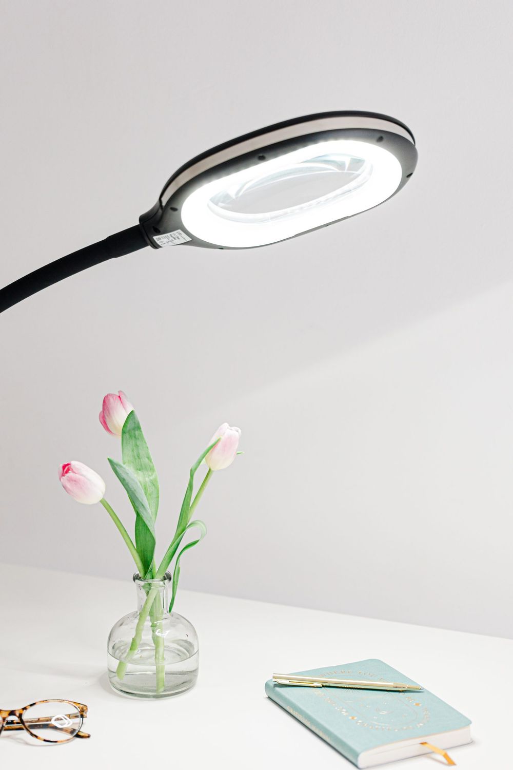 3in1 Floor Magnifier